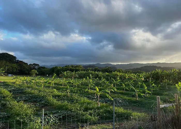 North Shore Glamping Camping Laie, Oahu, Hawaii