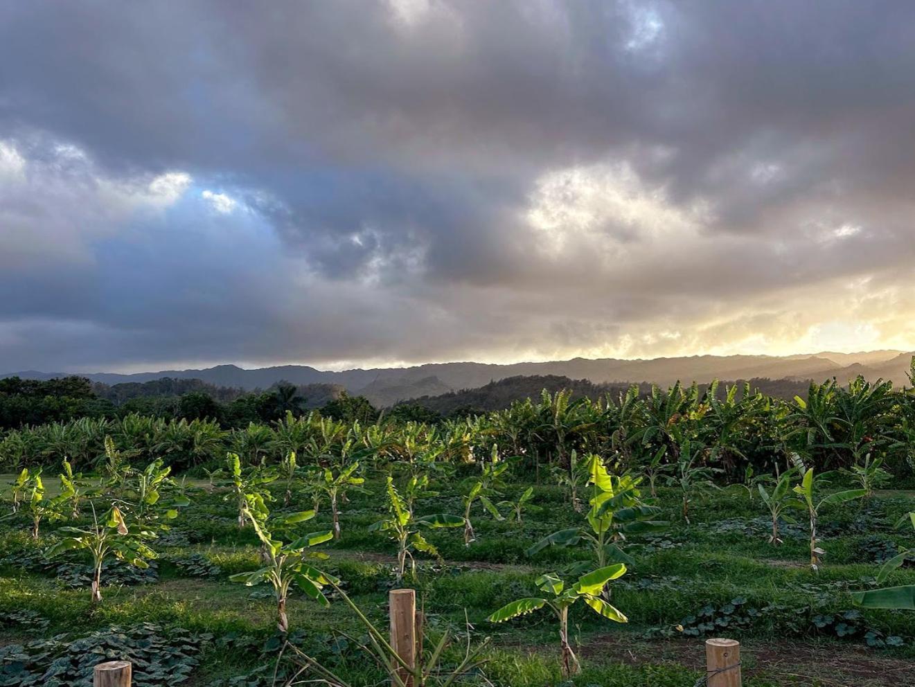 Glamping North Shore Glamping Laie, Oahu, Hawaii